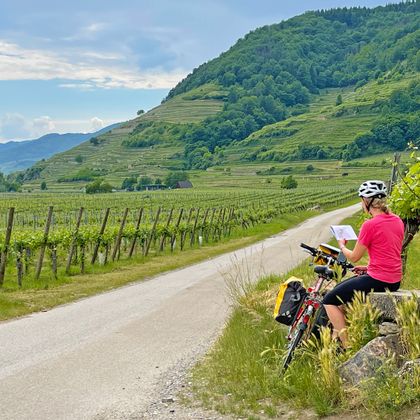 Eine Radfahrerin macht eine Pause neben dem gut ausgebauten Radweg in den Weinbergen der Wachau und studiert dabei auf einer Karte den weiteren Tourenverlauf