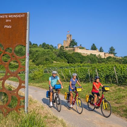 Three cyclists in front of the Wachtenburg, surrounded by vineyards and wooded hills