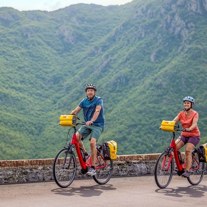 E-Bike-Fahrer vor bewaldeter Bergkulisse