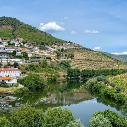 Covelinhas on the Douro