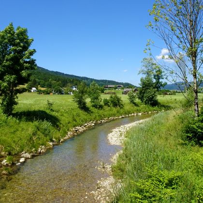 Kleiner Bach namens Fuschler Ache, umgeben von Wiesen und Bäumen, im Hintergrund einige Berge