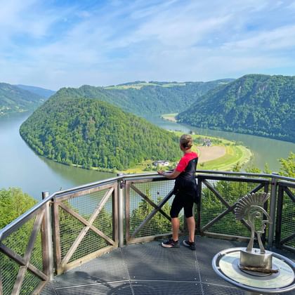 Radlerin blickt auf die Schlögener Schlinge