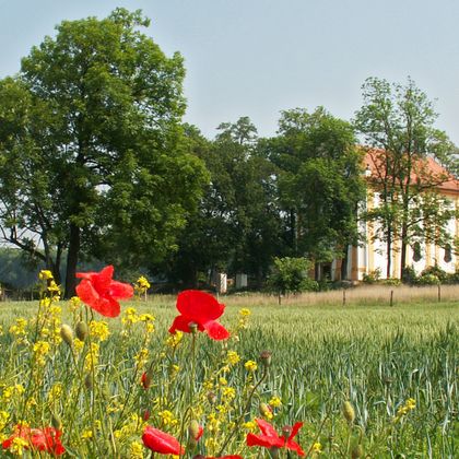 Eine Villa zwischen Feldern und Bäumen im Umland von Prag