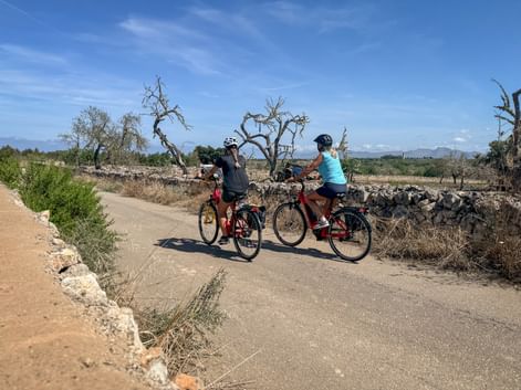 Two female cyclists with helmets pause on a country road in Mallorca, bordered by stone walls and bare trees under blue sky.