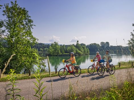 Drei Radfahrer fahren auf einem asphaltierten Weg am Rhein-Radweg entlang eines ruhigen Sees, umgeben von grünen Bäumen unter blauem Himmel.