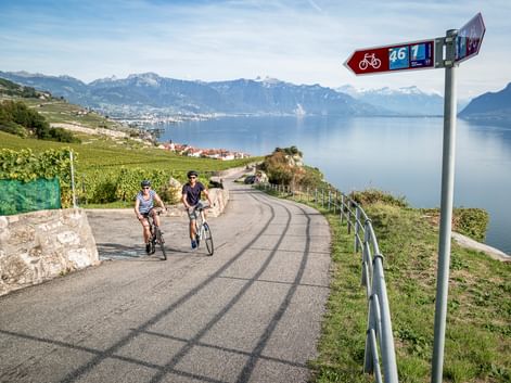 Zwei Radfahrer auf einer asphaltierten Straße durch Weinberge am Genfersee bei Rivaz. Radwegeschild sichtbar, Berge und See im Hintergrund.