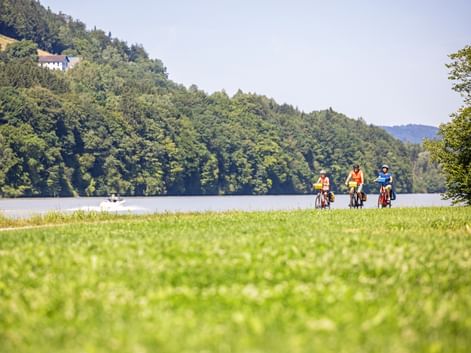 Cyclists on the banks of the Elbe