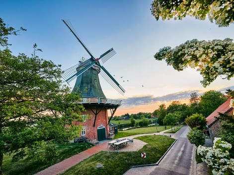 Twin mills