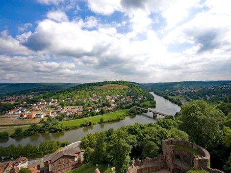 Ausblick auf den Main