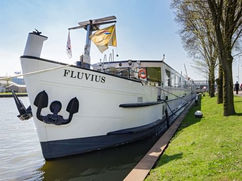 Weißes Flusskreuzfahrtschiff MS Fluvius am grünen Flussufer angelegt mit ausgefahrener Gangway. Das Schiff zeigt eine gelbe Flagge und Ankerdekoration.