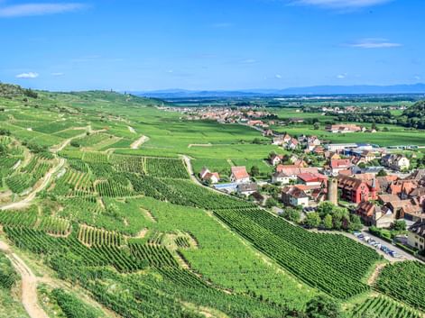Blick auf Kaysersberg Blick auf Kaysersberg und die Landschaft im Elsaß