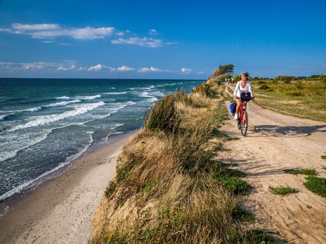 Cyclist riding on sandy coastal path along Baltic Sea. Grass-covered dunes separate the path from beach. Blue sky with white clouds above.