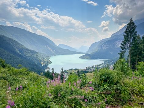 Türkisfarbener Molvenosee zwischen bewaldeten Bergen mit rosa Wildblumen im Vordergrund und einem kleinen Dorf am Ufer.