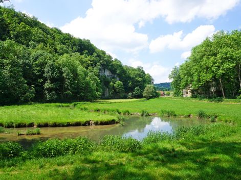 Lauertal grüne Landschaft mit Fluss
