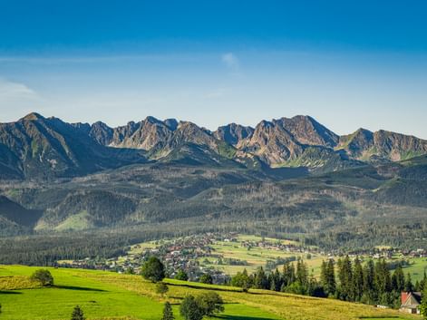 Panoramic view of Zakopane with green meadows in foreground, village and forests in valley, and dramatic Tatra mountain peaks under blue sky.