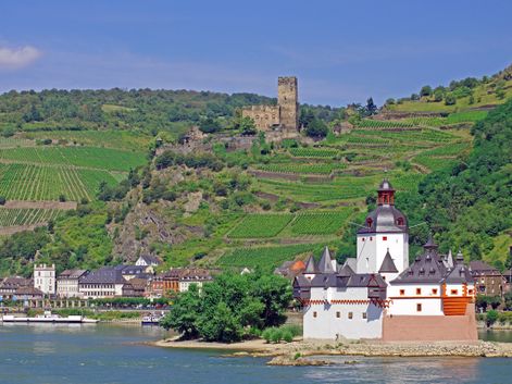 Ausblick auf der Etappe von Rüdesheim nach Goarshausen