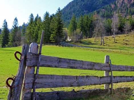 Wooden fence on the cycle path near Schliersee