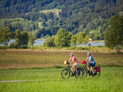 Zwei Radfahrerinnen mit Helmen und Packtaschen fahren auf einem Weg durch grüne Wiesen im Main-Spessart-Taubertal, mit Fluss und bewaldeten Hügeln.