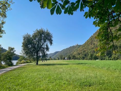 Grüne Wiese entlang der Donau mit Radweg, eingerahmt von Bäumen. Bewaldete Hügel mit Burg Marsbach auf der Anhöhe unter blauem Himmel.