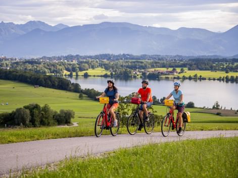 Three cyclists with yellow panniers on a path overlooking Riegsee lake, green meadows, and distant Alpine mountains under a cloudy sky.