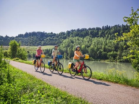 Three cyclists with yellow panniers riding along paved path beside the Elbe River, with forested hills in the background under clear sky.