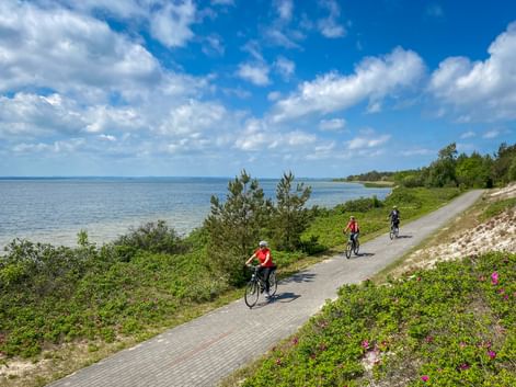 Three cyclists riding on a paved coastal path along the Baltic Sea between Stettin and Danzig, with blue water, green vegetation, and clouds.