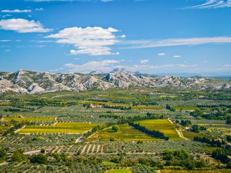 Panoramic view of Les Baux-de-Provence with rocky mountains, green agricultural fields, vineyards, and olive groves under blue sky.