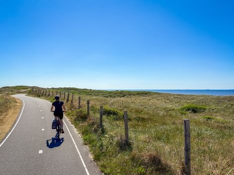Radfahrer auf asphaltiertem Küstenweg entlang der Ostsee. Holzpfosten säumen den Weg, mit Dünengras und blauem Meer.