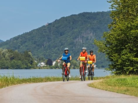 Drei Radfahrer fahren auf einem asphaltierten Weg entlang eines Flusses mit bewaldeten Hügeln im Hintergrund auf der Bayerischen Hopfentour.
