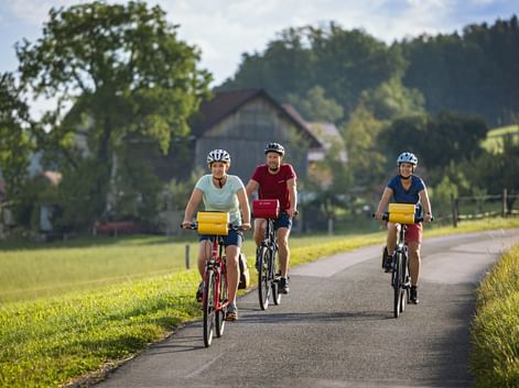 Three cyclists with helmets and yellow handlebar bags riding on a paved country road in the Southern Black Forest with farmhouse and forest.