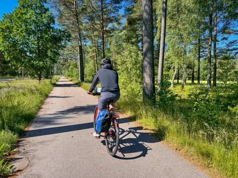 Cyclist in dark clothing riding on paved path through sunny forest with tall trees and green vegetation near Oslofjord, Norway.