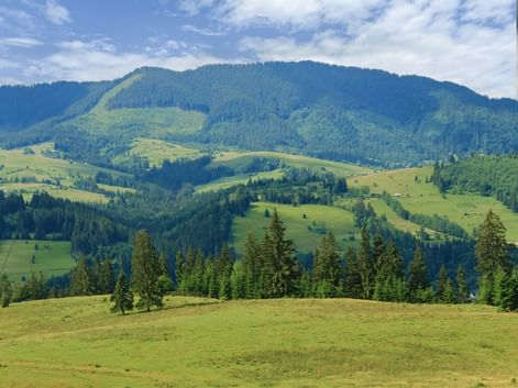 Karparten alp meadows
