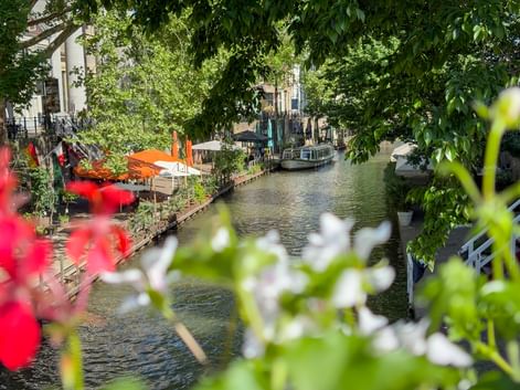 Oudegracht canal in Utrecht framed by red and white flowers, with boats moored along tree-lined banks and historic buildings in the background.