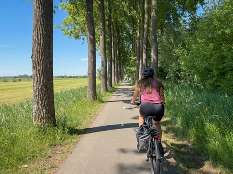 Radfahrerin auf einem von hohen Bäumen gesäumten Weg, grüne Felder links sichtbar unter blauem Himmel.