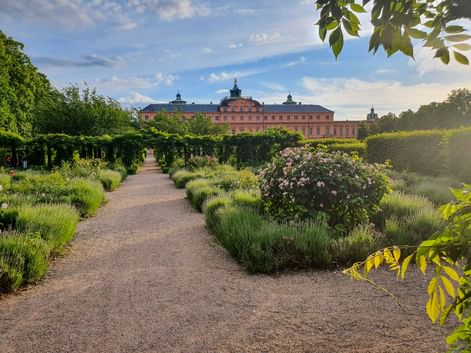Kiesweg durch barocken Garten mit Lavendelbeeten und Rosenbüschen führt zum roten Schloss Rastatt unter blauem Himmel.