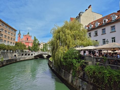 Ljubljanica River with green water flowing through Ljubljana. Pink church and stone bridge visible in background, willow tree and riverside café on right.