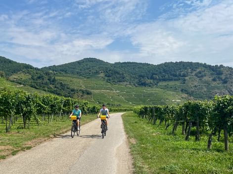 La Vaux Weinhügel