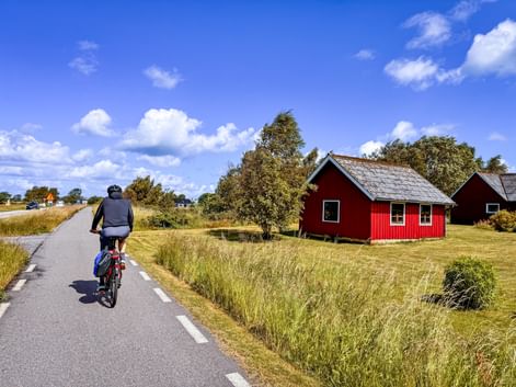 Cyclist on paved bike path passing a traditional red wooden Swedish house with gray roof. Golden grass fields and blue sky with clouds.
