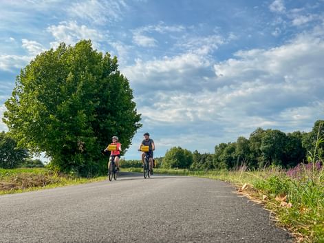 Two cyclists with yellow panniers riding on a paved country road lined with green fields and trees under a blue sky with white clouds.