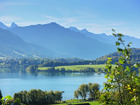 Gruyere landscape