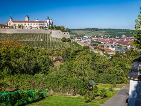 Festung Marienberg über Würzburg mit terrassierten Weinbergen am Hang. Stadt und Main unter blauem Himmel sichtbar.
