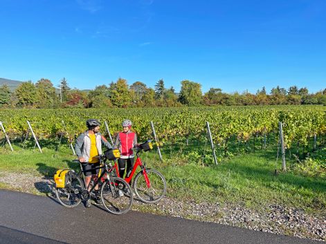 Cyclists on the German Wine Route
