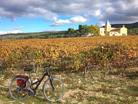 Impressionen Landschaft