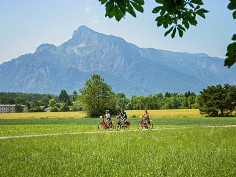 Drei Radfahrer fahren durch grüne Felder bei Salzburg mit dem Untersberg-Gebirge im Hintergrund unter blauem Himmel.
