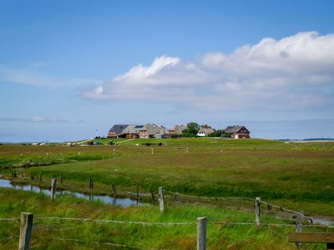 Erhöhte Hallig-Insel mit reetgedeckten Häusern auf grüner Wiese, umgeben von Marschland und Wasserkanälen unter blauem Himmel mit Wolken.
