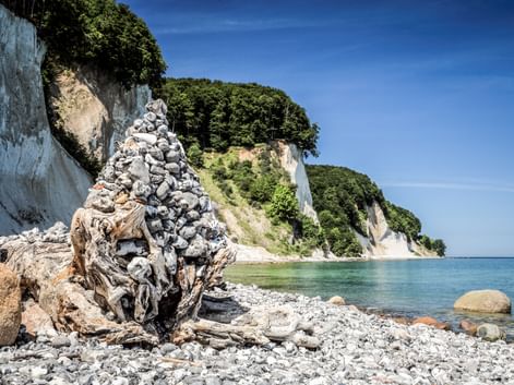 Weiße Kreidefelsen im Nationalpark Jasmund auf Rügen mit Treibholz am Kieselstrand und türkisfarbenem Ostseewasser.