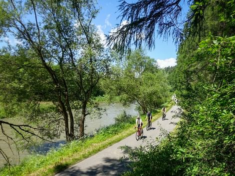 Cyclists riding along a paved riverside path beside the Dunajec River, surrounded by lush green trees and vegetation under a blue sky.