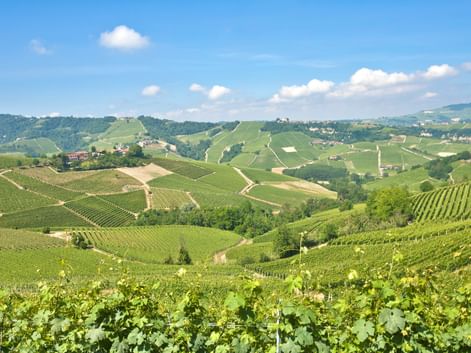 Wine-growing region in Piedmont