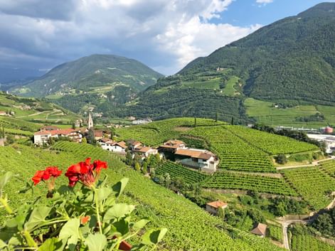 Bolzano Surroundings View
