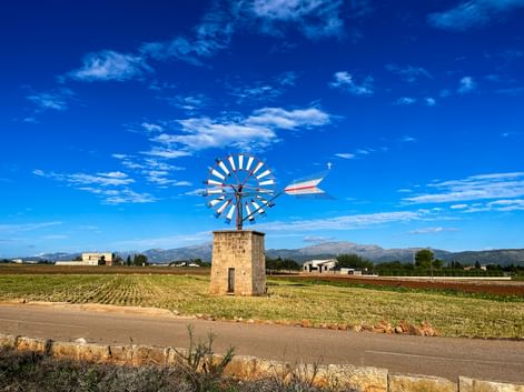 Stone windmill with white blades in agricultural fields near Alcudia, Mallorca, with mountains in the background under a blue sky.